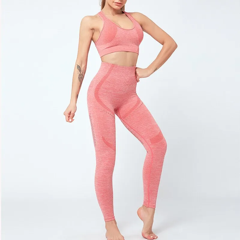 2 Piece Fitness Suit