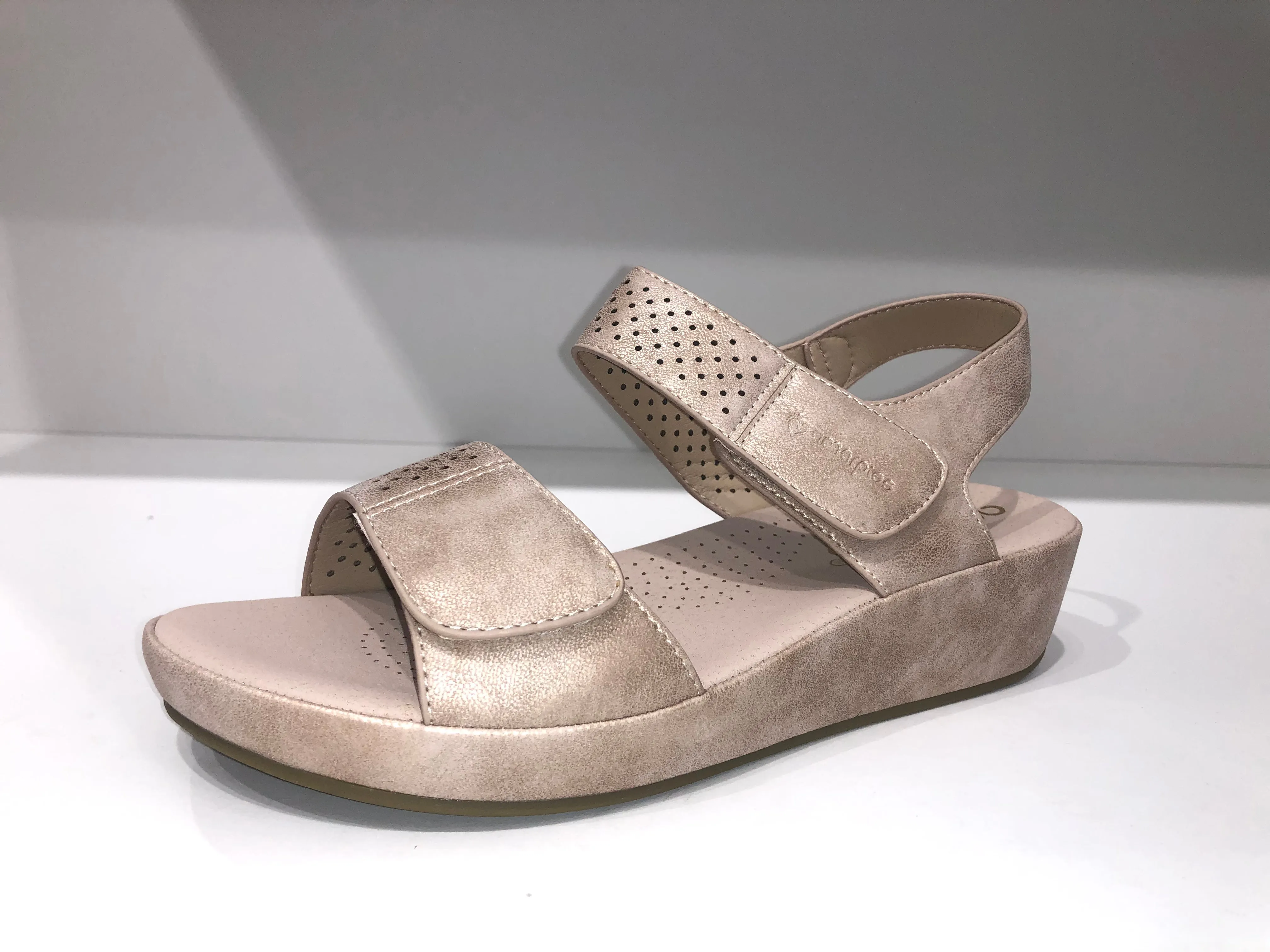 ABZ23587 PLATINUM GOLDEN