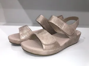 ABZ23587 PLATINUM GOLDEN
