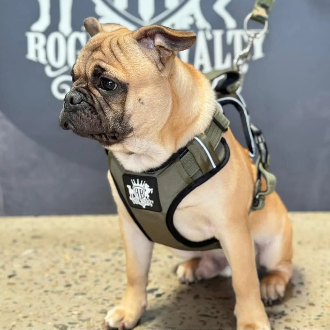 Dog Harness - Active X Green