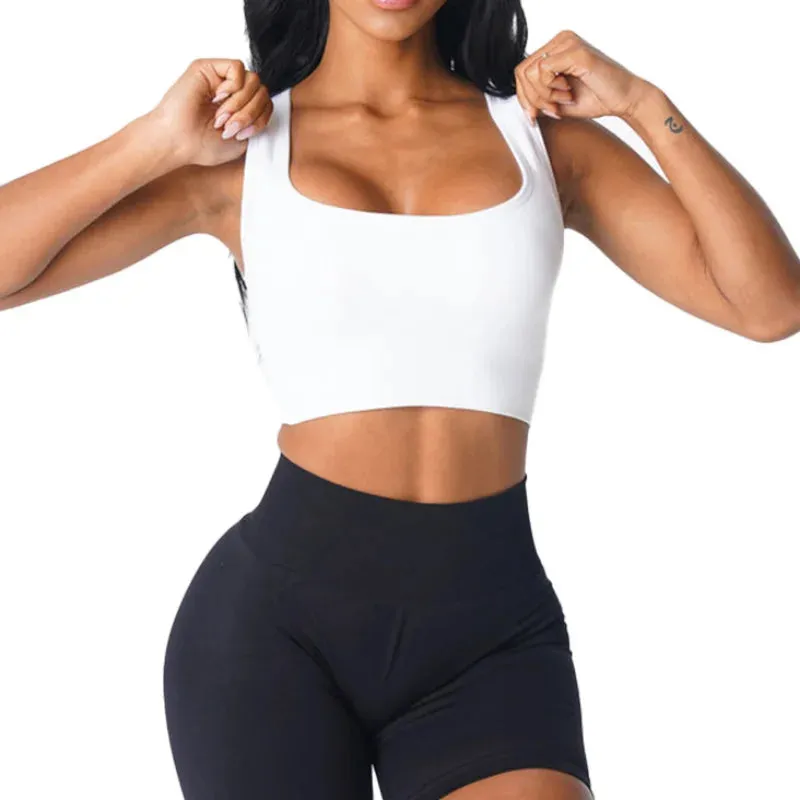 Eclipse Seamless Bra – Fitness Spandex – Elastic & Breathable