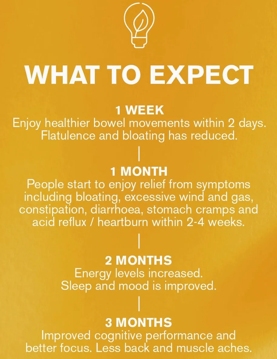 Gut Supplements