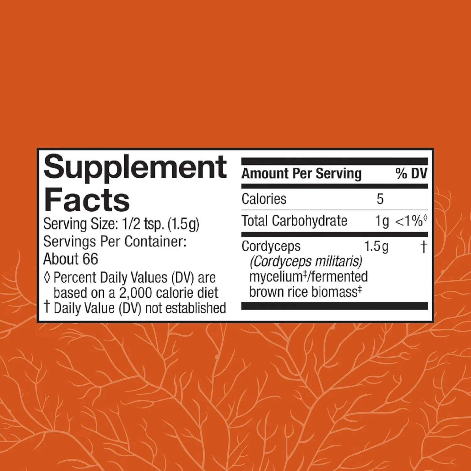 Host Defense Cordyceps Powder - Immune & Energy Support Supplement - Kidney Health Supplement with Cordyceps - Fitness Support Supplement to Aid Oxygen Uptake - 3.5 oz (66 Servings)*