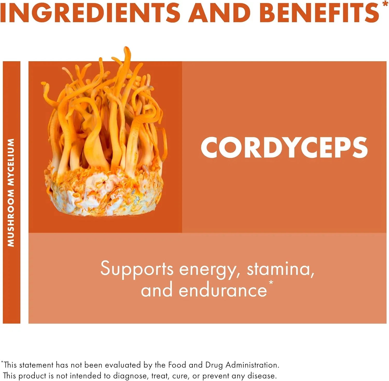 Host Defense Cordyceps Powder - Immune & Energy Support Supplement - Kidney Health Supplement with Cordyceps - Fitness Support Supplement to Aid Oxygen Uptake - 3.5 oz (66 Servings)*