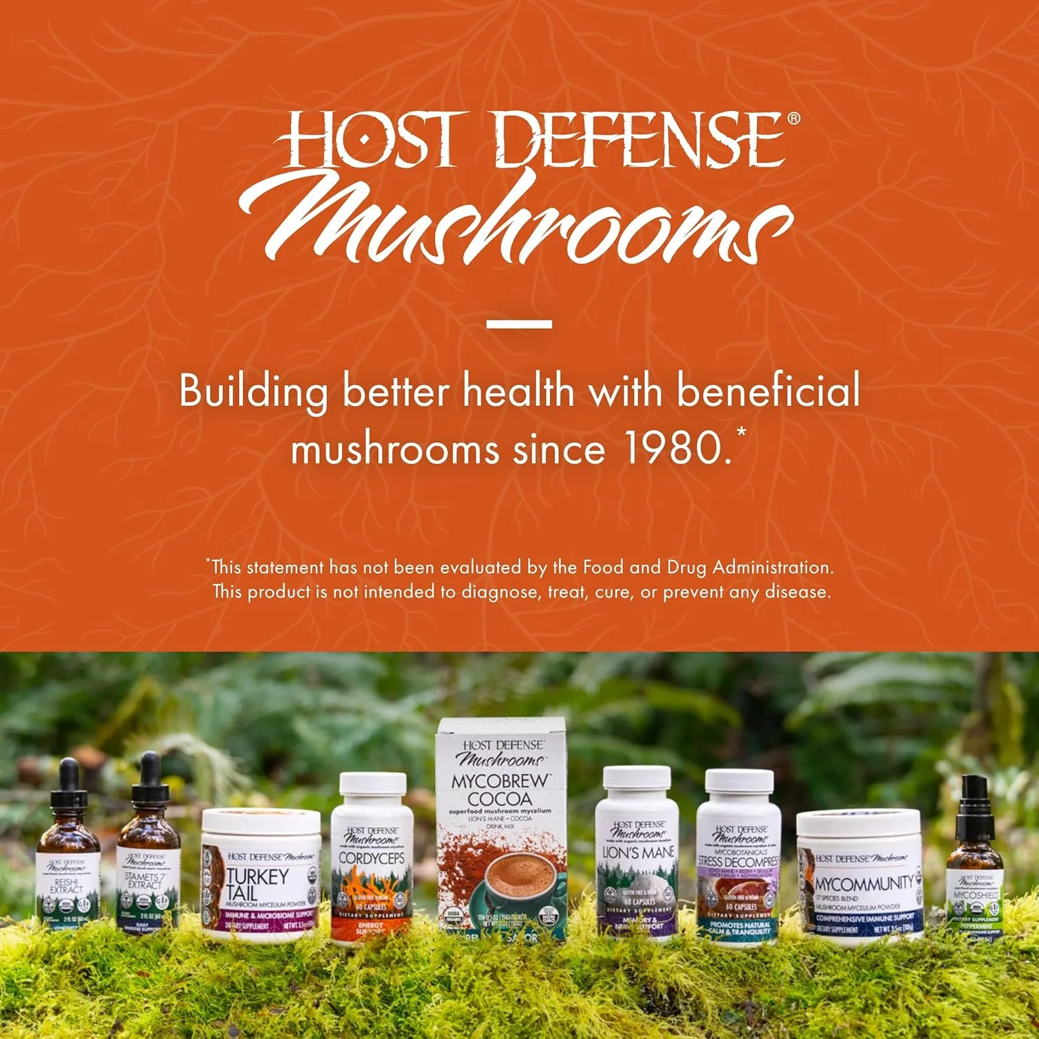 Host Defense Cordyceps Powder - Immune & Energy Support Supplement - Kidney Health Supplement with Cordyceps - Fitness Support Supplement to Aid Oxygen Uptake - 3.5 oz (66 Servings)*