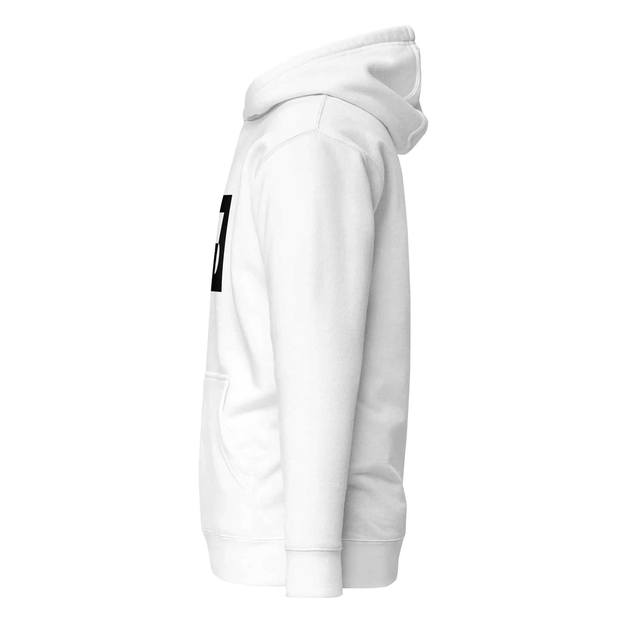 Icon-4 Inset Hoodies