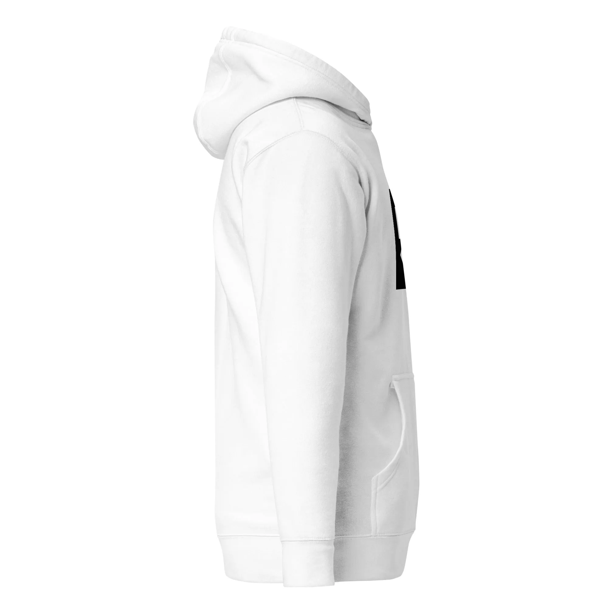 Icon-4 Inset Hoodies
