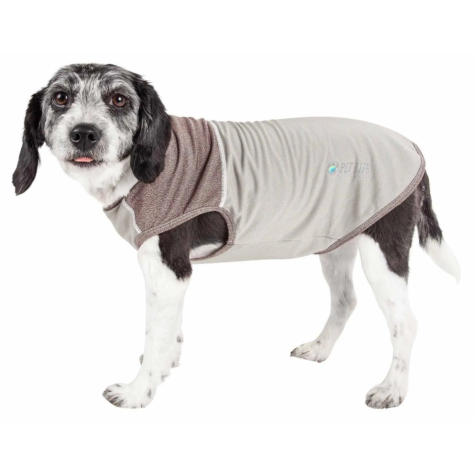 Lightweight UV protection tank top for dogs.