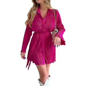 Long Sleeved Collared V-Neck Mini Dress