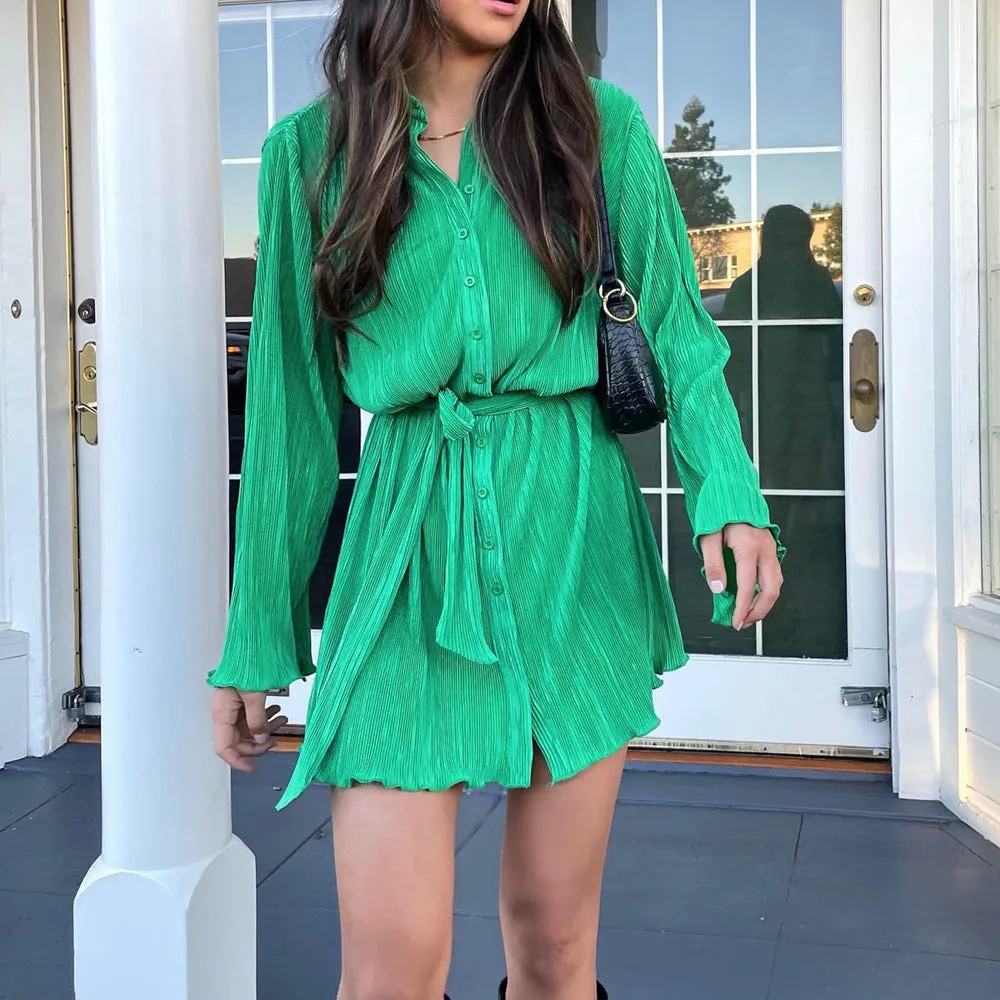 Long Sleeved Collared V-Neck Mini Dress
