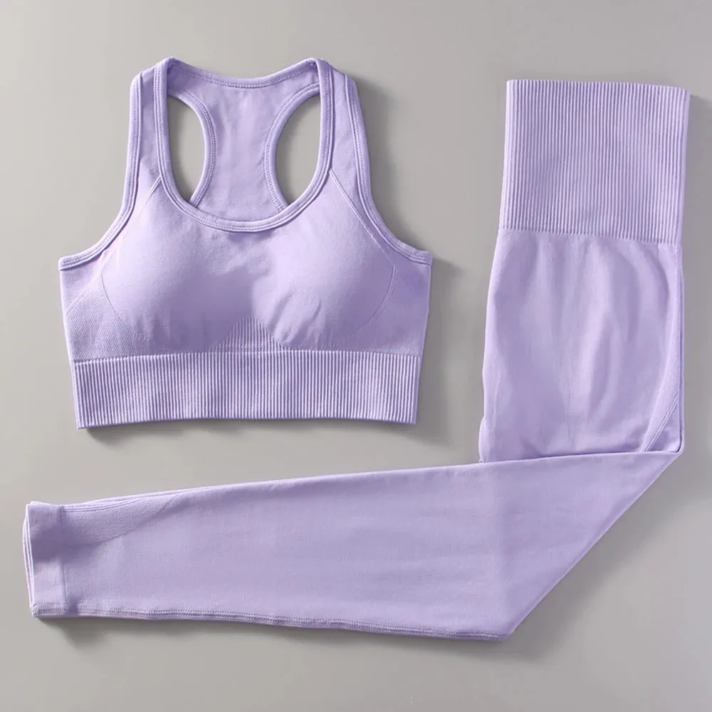 Seamless Gradient Yoga Set for Women - Fitness Sports Suit