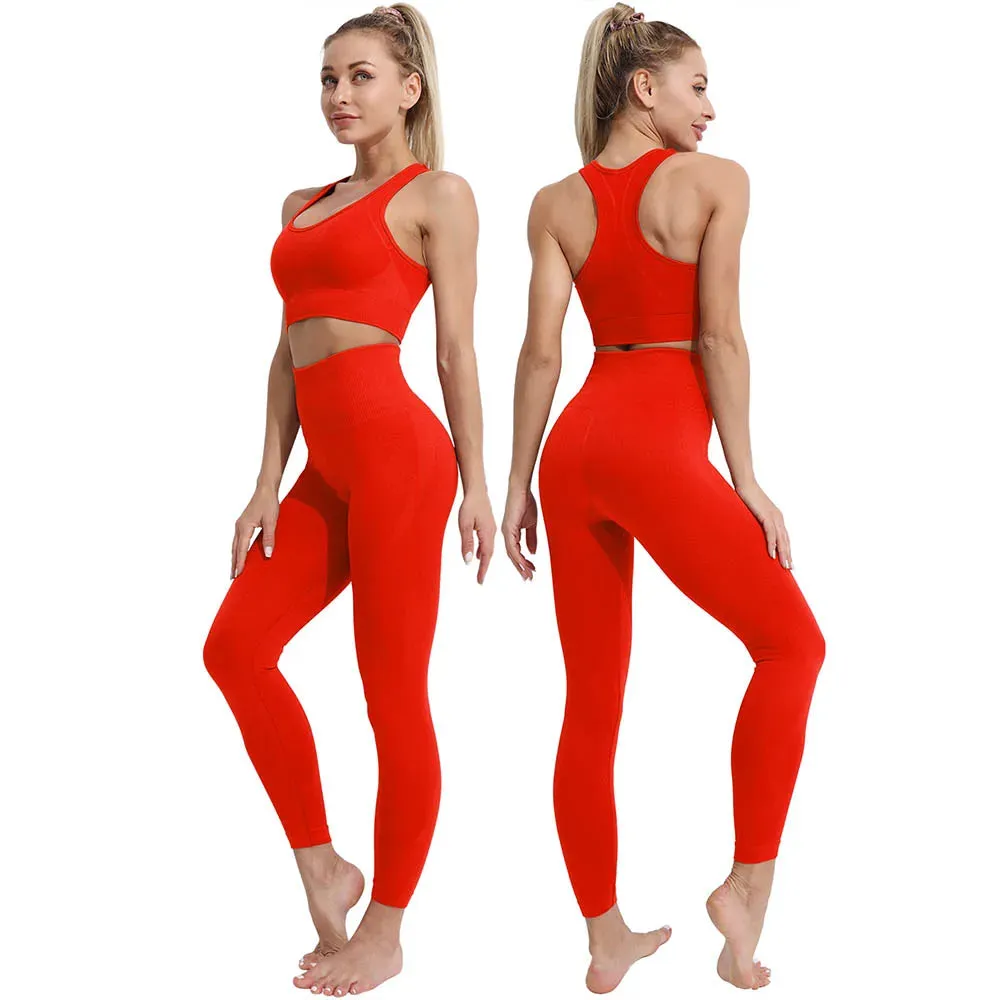 Seamless Gradient Yoga Set for Women - Fitness Sports Suit