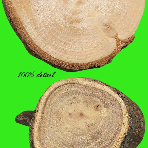 Wood Slices, Volume 01
