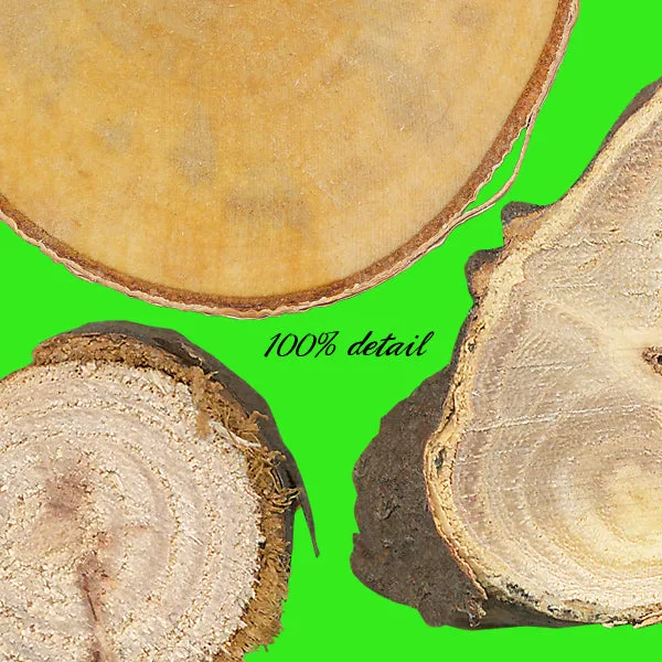 Wood Slices, Volume 01