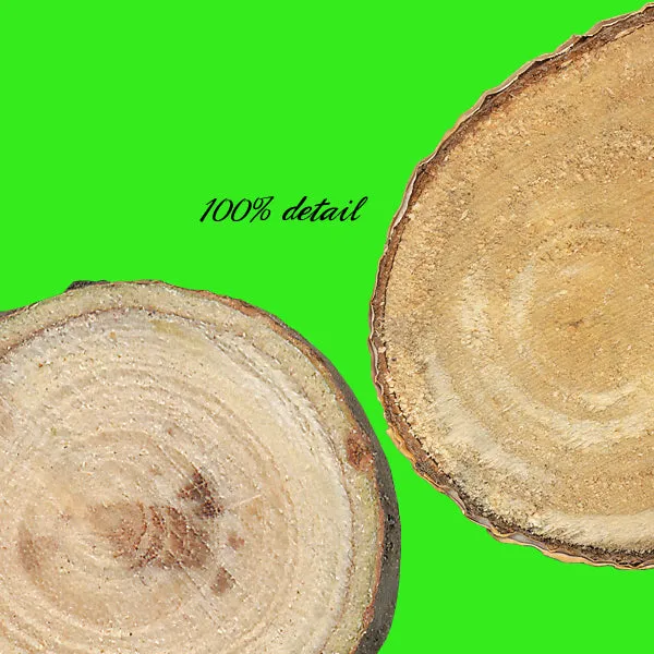 Wood Slices, Volume 01