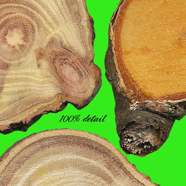 Wood Slices, Volume 01